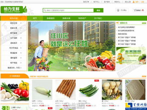 南昌B2C商城网站建设App开发技术网络