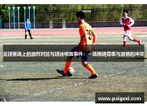 足球赛场上的激烈对抗与球迷喷粪事件：一场围绕尊重与激情的冲突